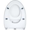 imageNuby Family Toilet Seat  Builtin Potty Training Toilet Seat  Fits All Elongated Toilets  Secure and WiggleFree  Easy to Install and RemoveModern