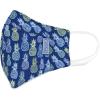 imageDr Talbots Adult Washable CupShaped Cloth Face Mask for Personal Health 1 Pack Colored SpecsPineapples