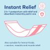 imageDr Talbots Mom Postpartum Ice Pads for Pain Relief  8Pack  2in1 Absorbent Postpartum Pads for Women After BirthPostpartum Ice Pads