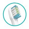imageDr Talbots Sonic Toothbrush Replacement Heads 8 Pack4 Count Pack of 1