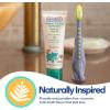 imageDr Talbots Toddler Training Toothbrush for Kids  2Pack  6 Months  AlligatorElephantDino  Toothpaste