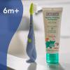 imageDr Talbots Toddler Training Toothbrush for Kids  2Pack  6 Months  AlligatorElephantDino  Toothpaste