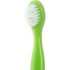 imageDr Talbots Toddler Training Toothpaste Naturally Inspired with Citroganix with Toothbrush Included BlueGreen 16 OuncePink  Green Toothbrush  Toothpaste