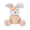 imageNuby Peek a Boo Friends Animated Plush Toy with Music and Interactive Play Bunny  Easter Basket Stuffers for Kids for Kids or ToddlersBunny