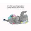imageNuby Lifelike Animated Sleeping Beaver with 8 Soothing Lullabies ampamp 4 Calming White Noises 30 Min NonStopElephant