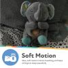 imageNuby Lifelike Animated Sleeping Beaver with 8 Soothing Lullabies ampamp 4 Calming White Noises 30 Min NonStopElephant