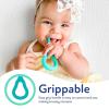 imageDr Talbots 2Piece Infant Toothbrush Training Set with Easy Grip Handle  6 Months