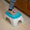 imageNuby Step Up Stool GrayAqua